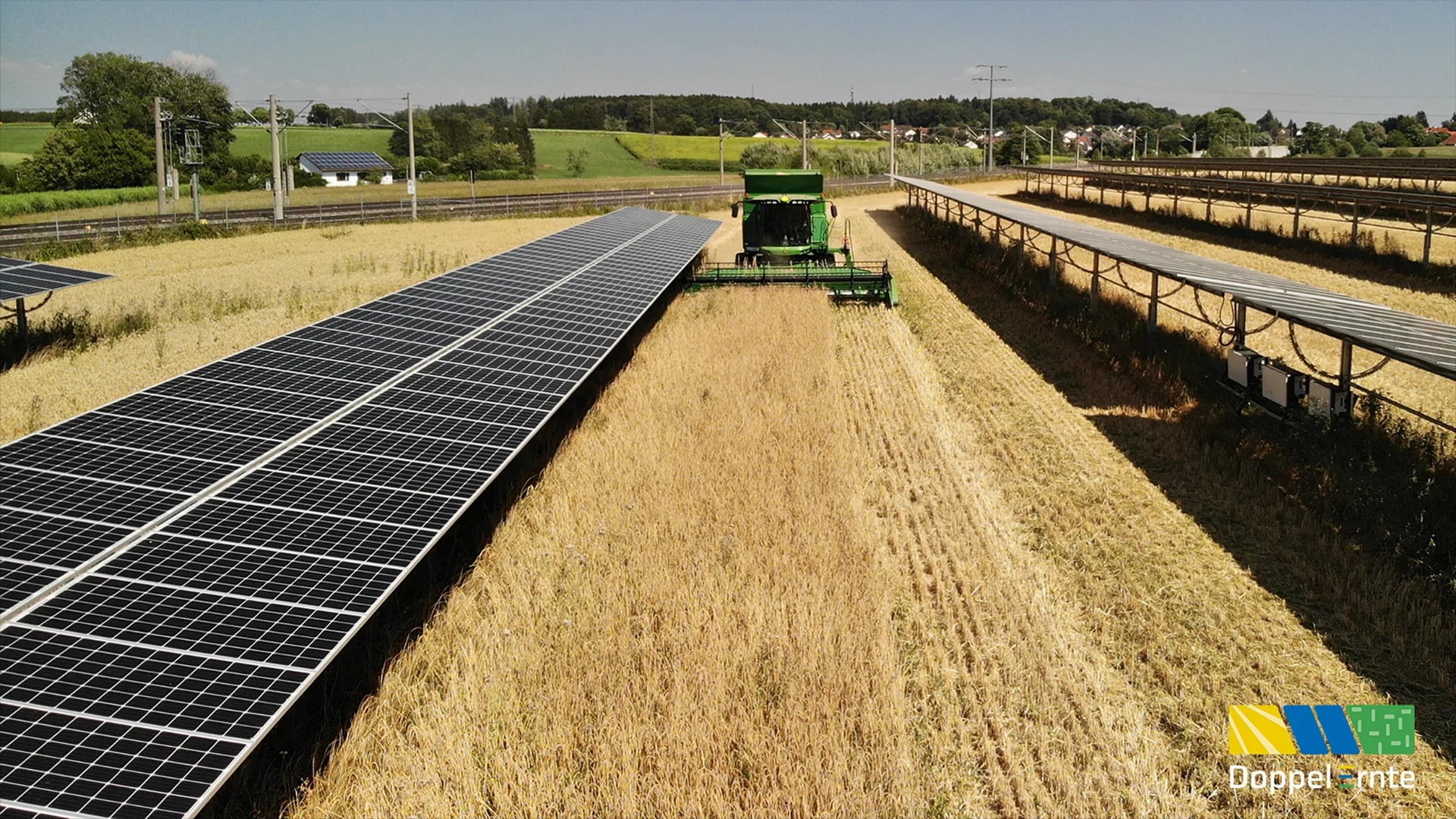 Agri-PV Anlage mit Weizenernte zwischen Solarpanelen