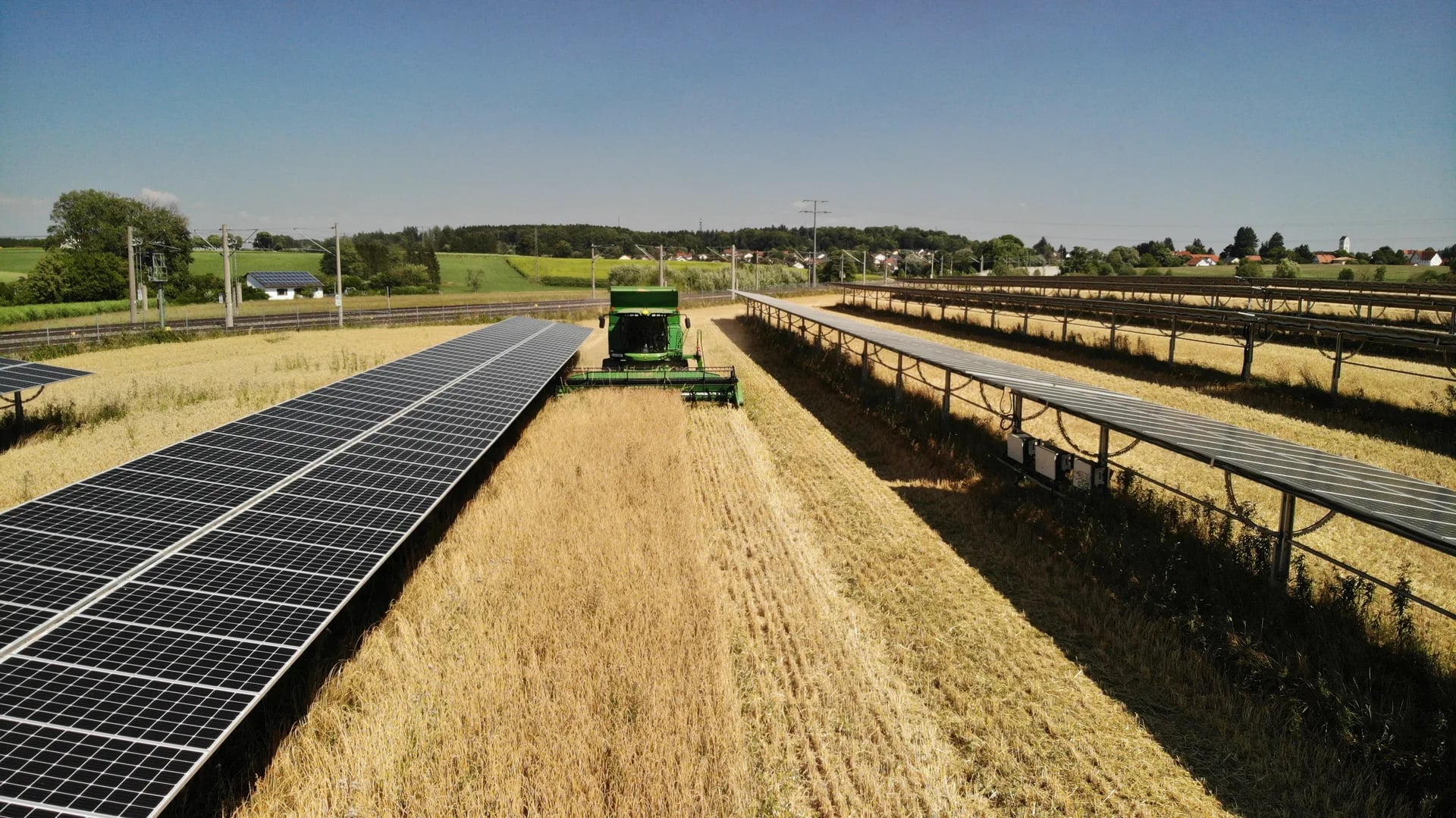 Erntemaschine bei der Weizenernte zwischen Agri-PV Solarpanelen